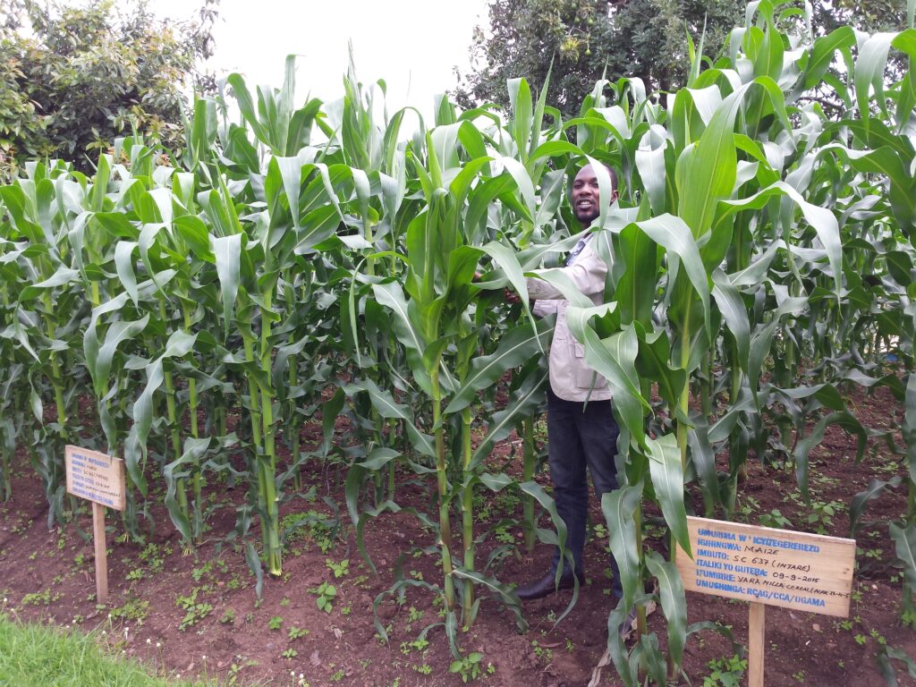 UGAMA Monthly Report – December2023