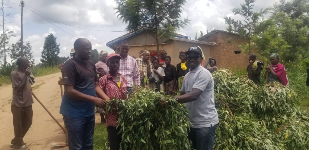 UGAMA yageneye toni eshatu  z’imbuto y’imigozi y’indobanure  abaturage b’Akarere ka Muhanga